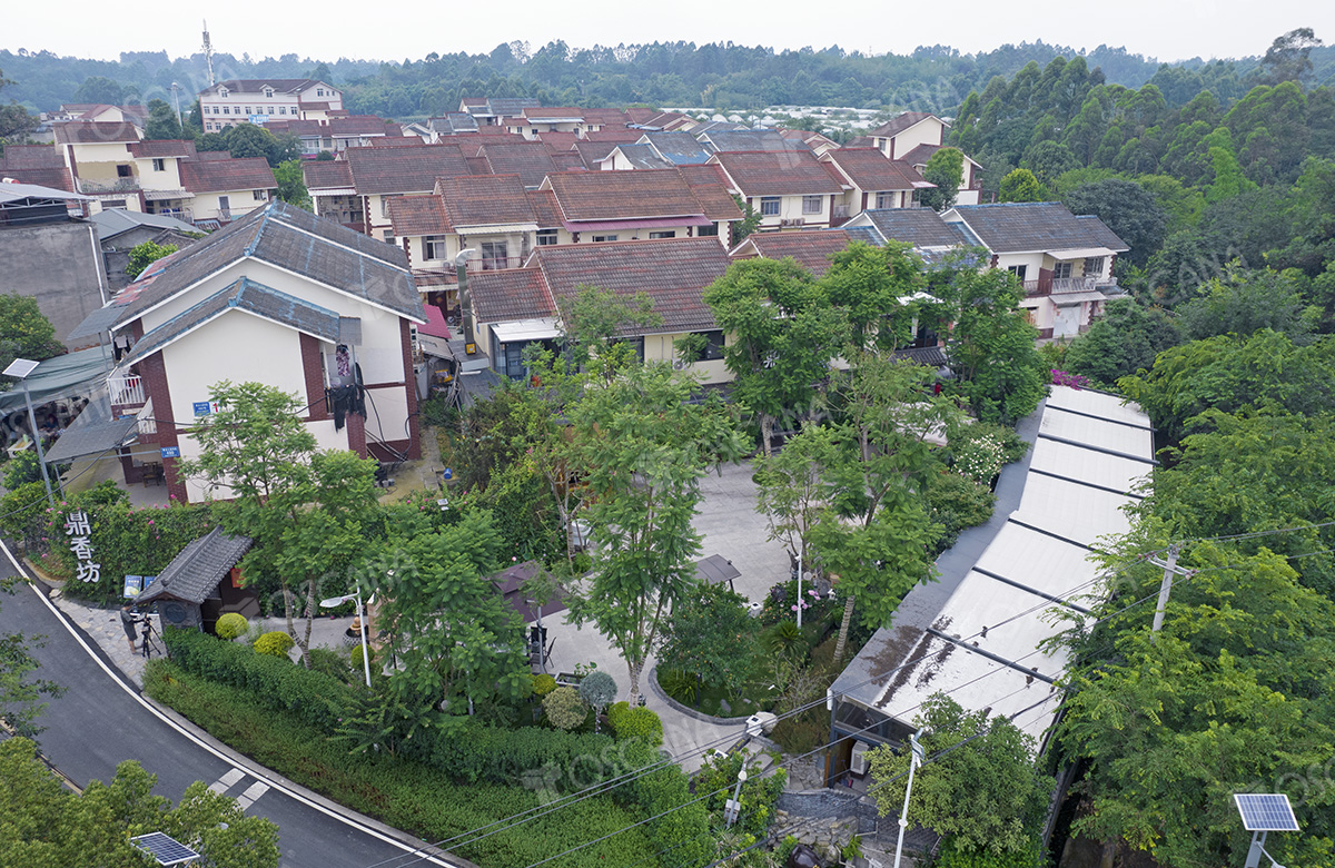 成都•鼎香坊渔馆