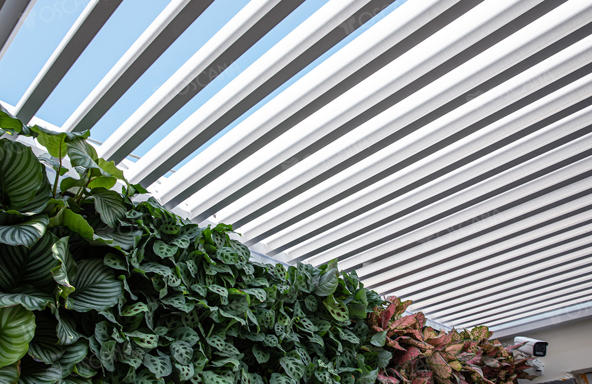 广州•花园别墅